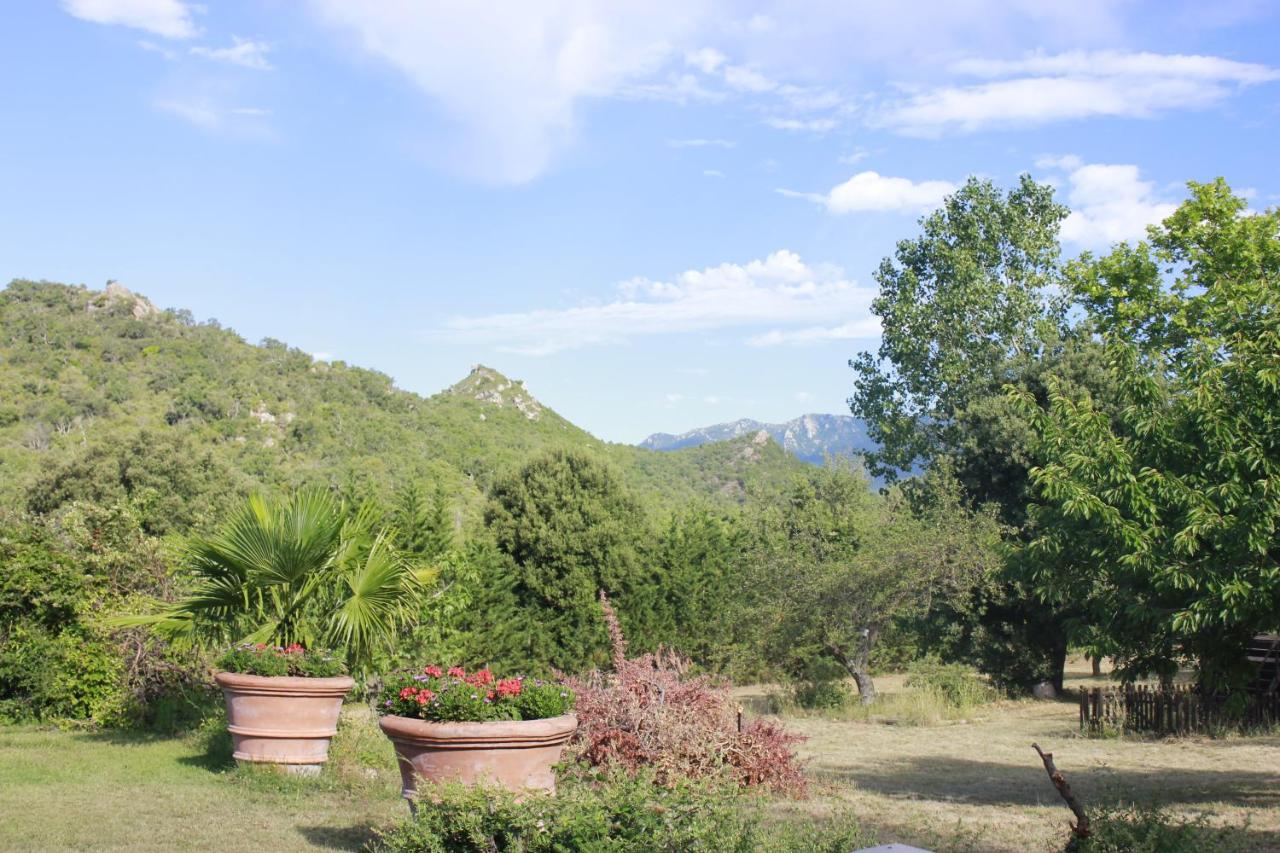 Masia Mimosa Darnius Buitenkant foto