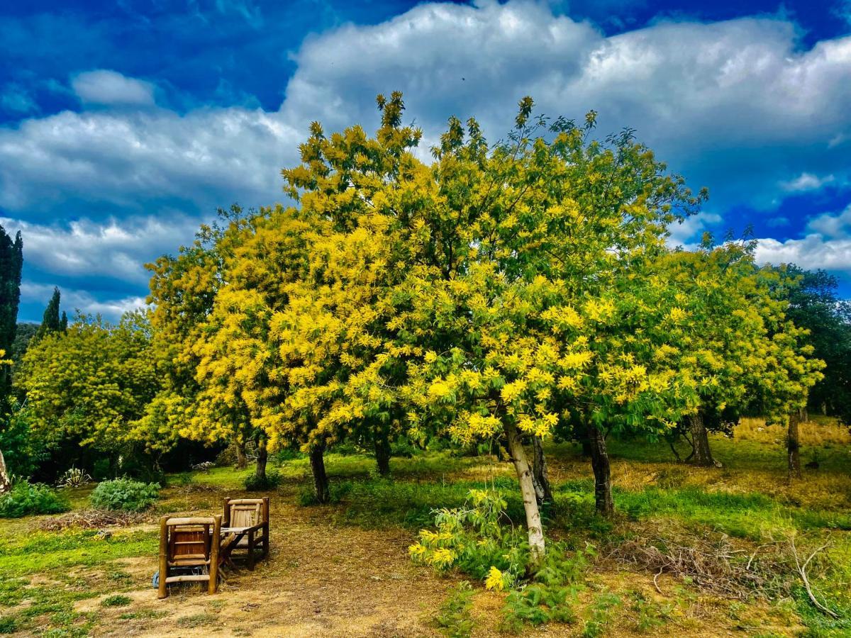 Masia Mimosa Darnius Buitenkant foto